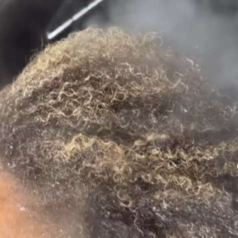 The Healthy Hair Experience