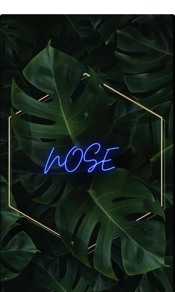 Nose