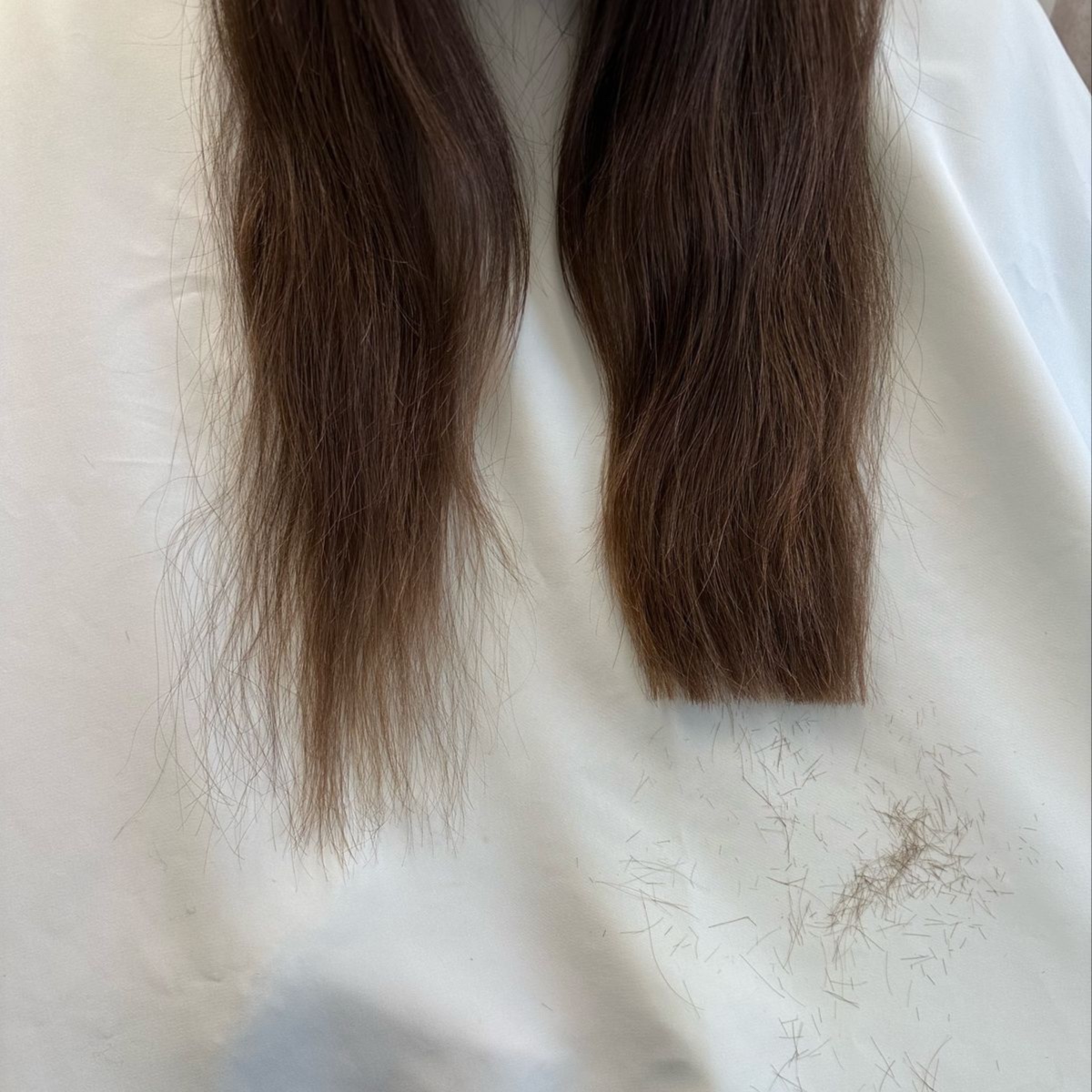 Womens Dry Trim at Opal and Ash Salon in North Platte, NE
