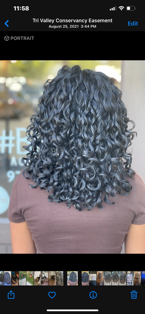 Existing Guest Curly Cut