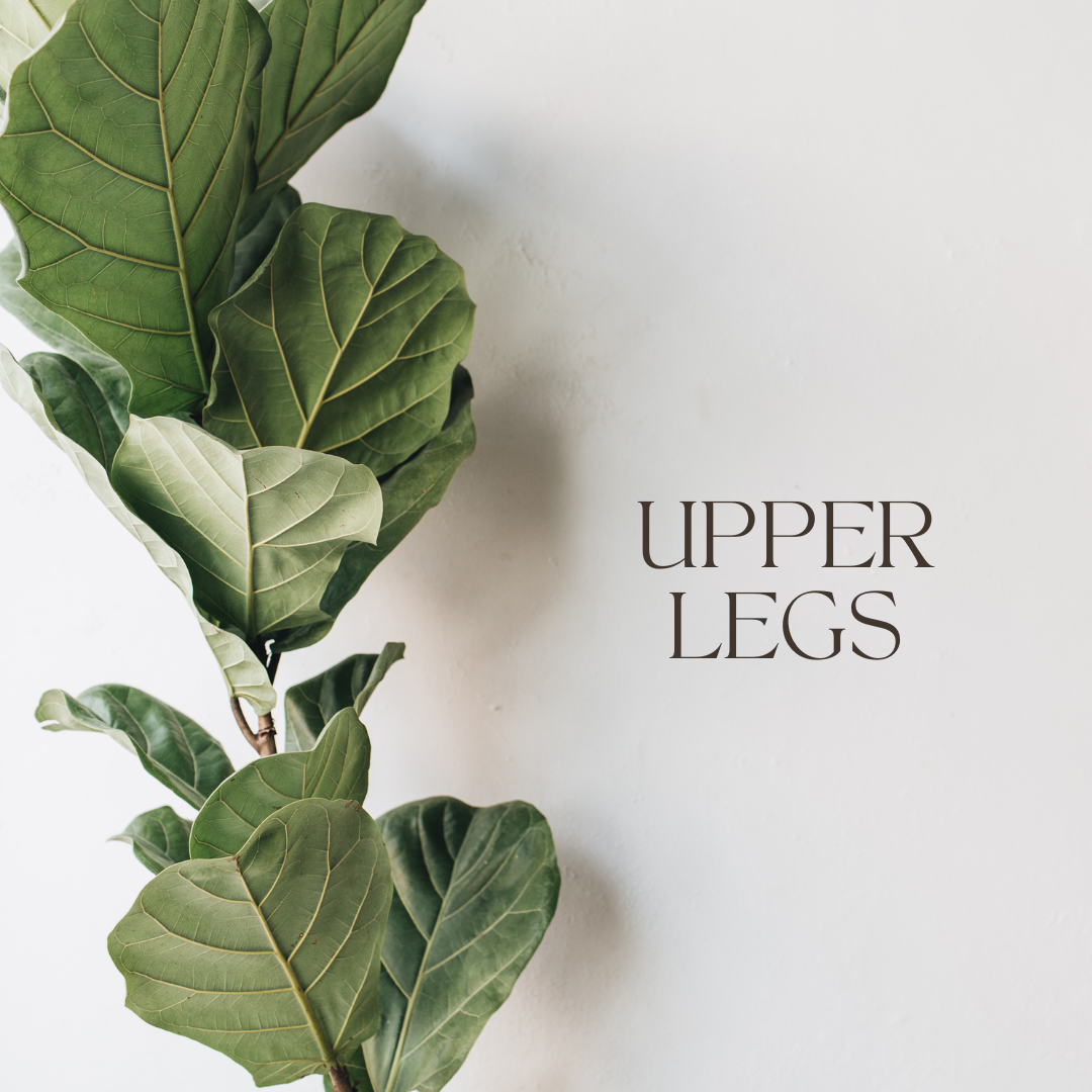 Upper Legs