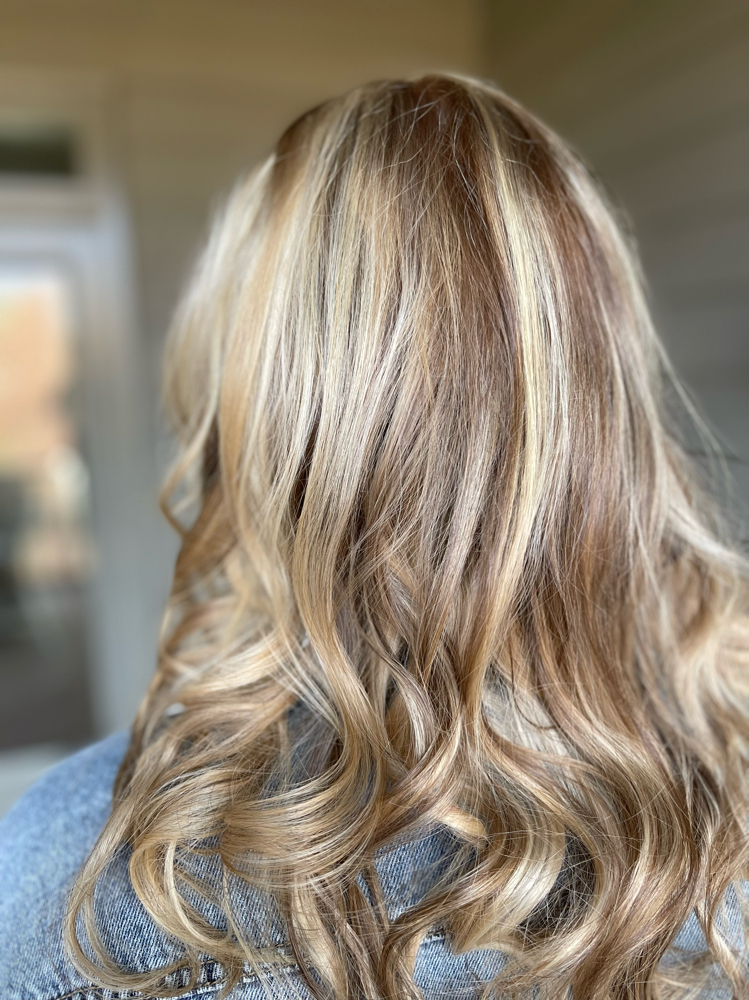 Balayage With Haircut at Blue Iris Mobile Hairstylist in Raleigh, NC