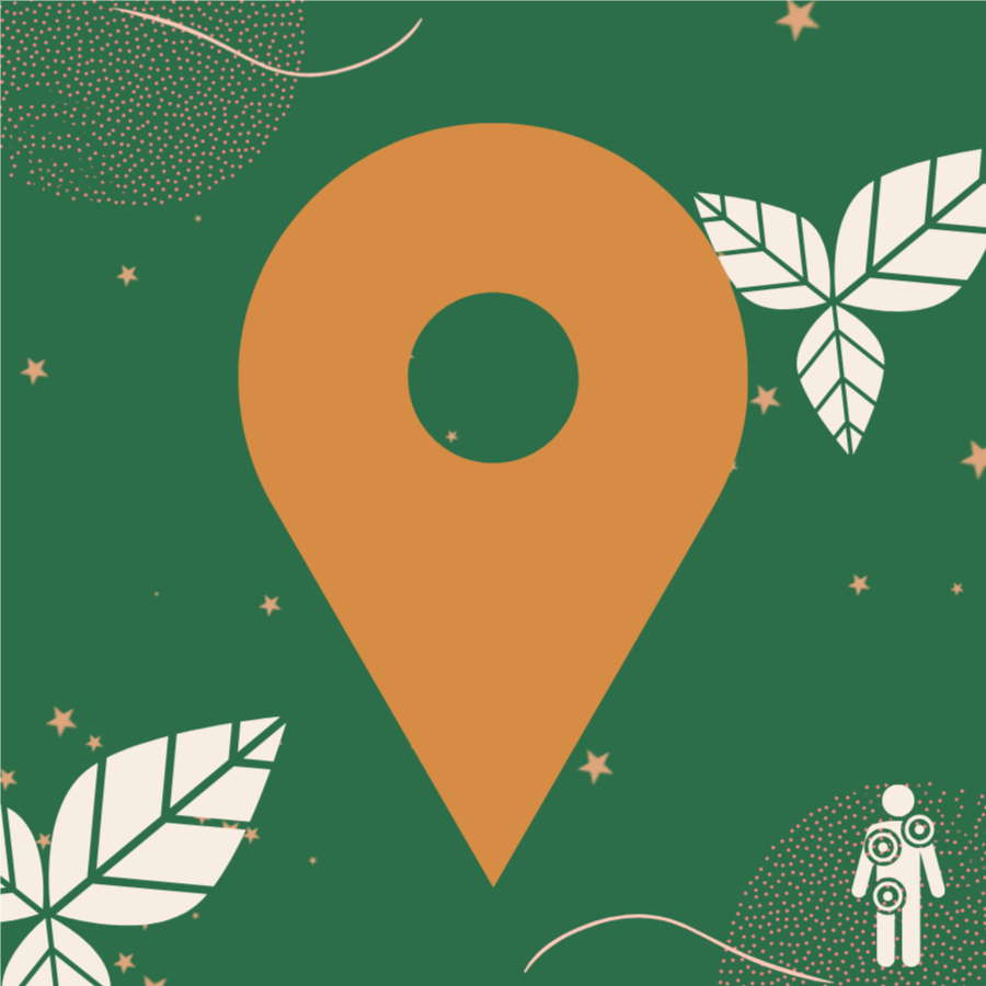 Body|Integration—Destination Detox