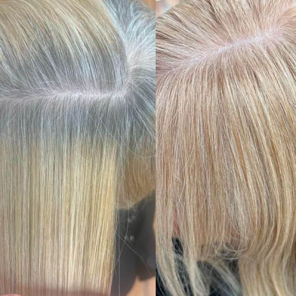 Root Retouch at Brook Alexander in Denver, NC