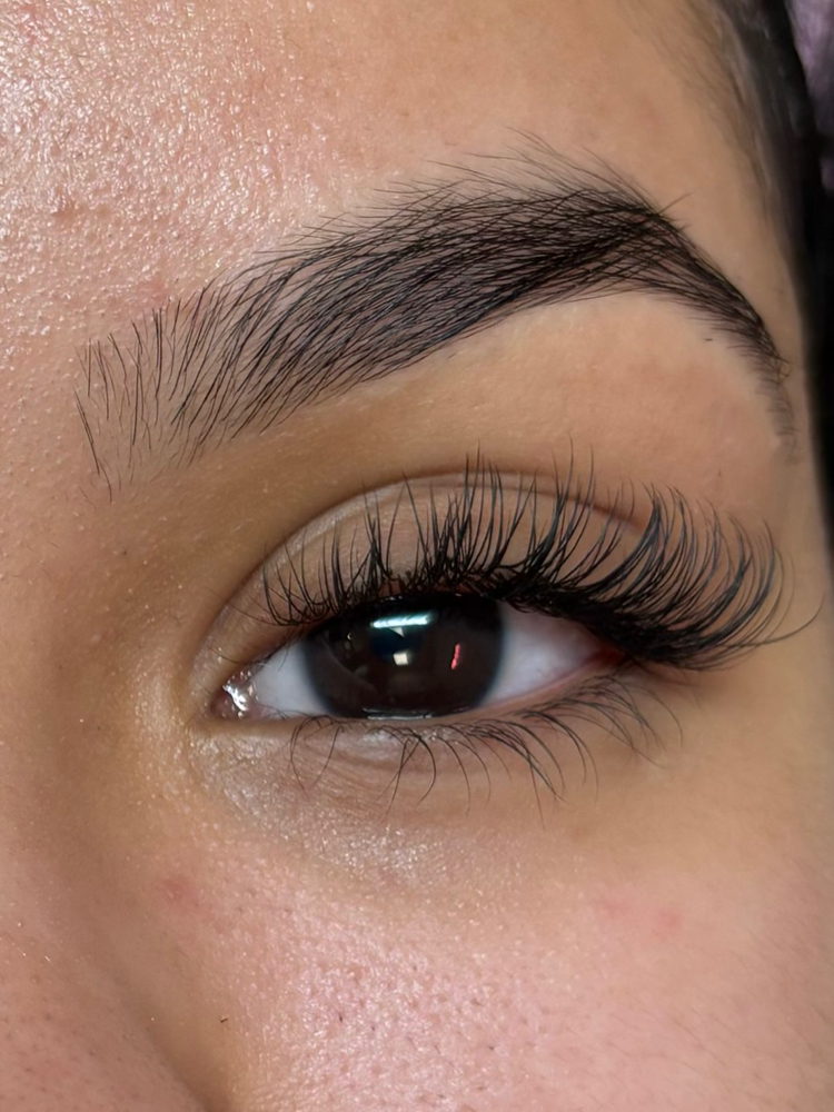 Classic Refill (2 - 2.5 Weeks)