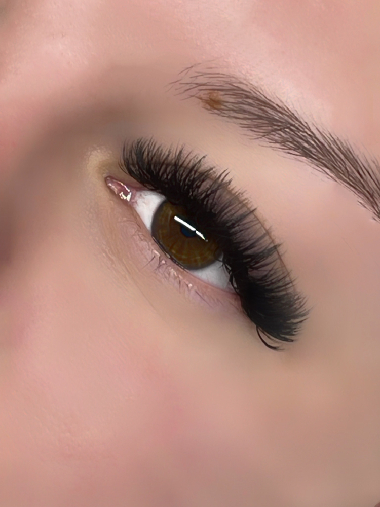 LASH FILL