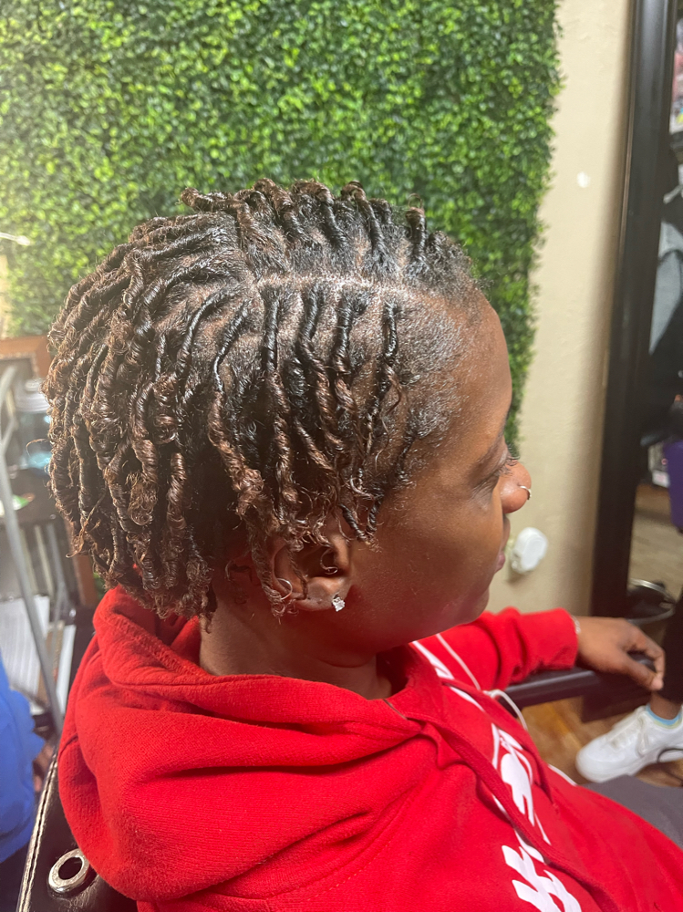 Starter Locs Regular Size Locs