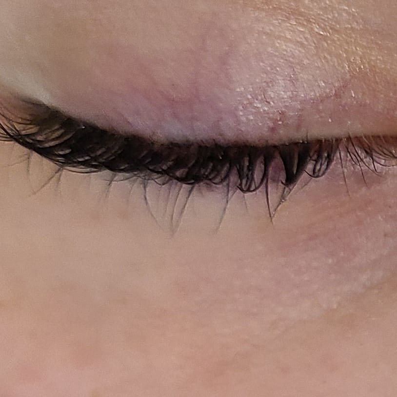 Lash Tint