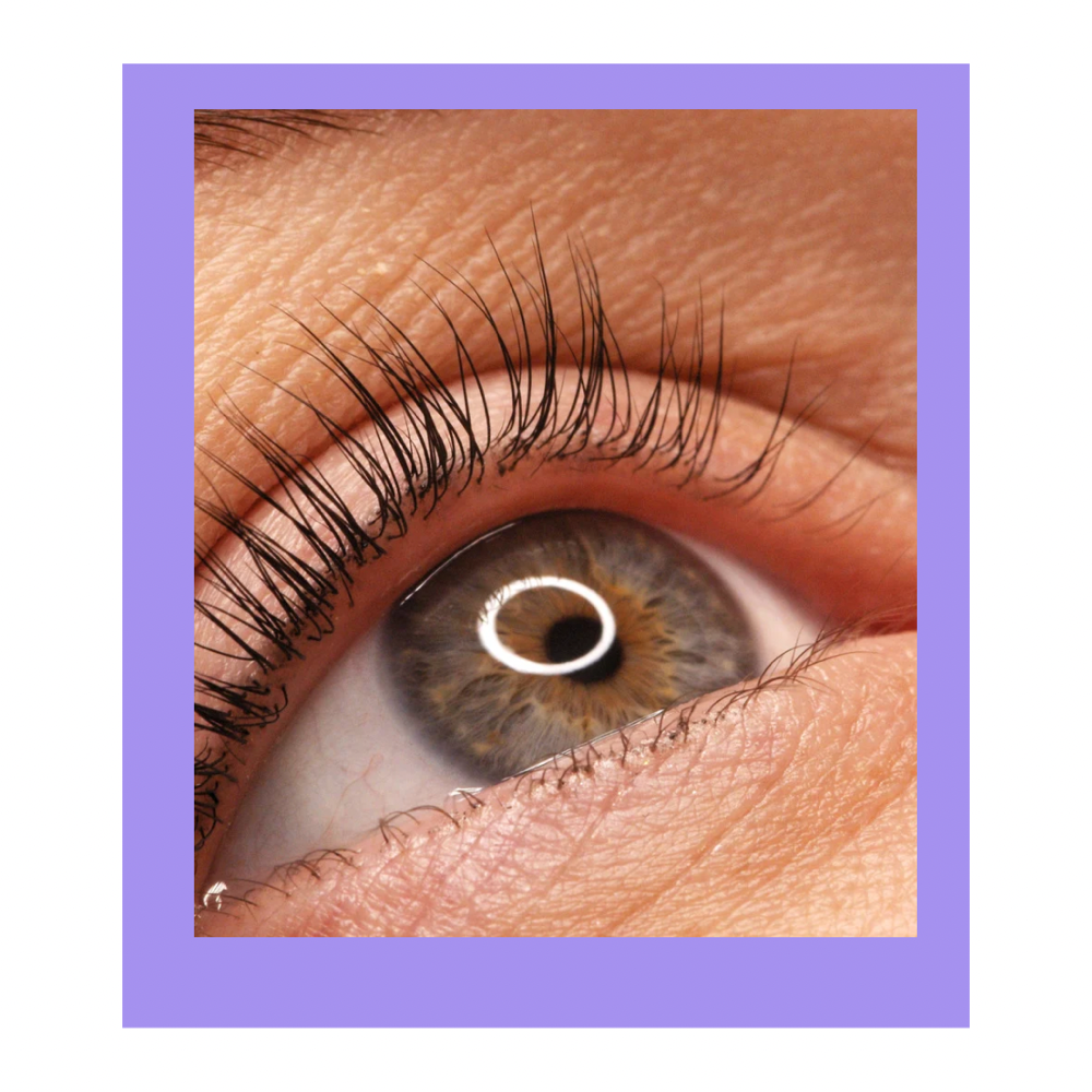 Lash Lift & Tint