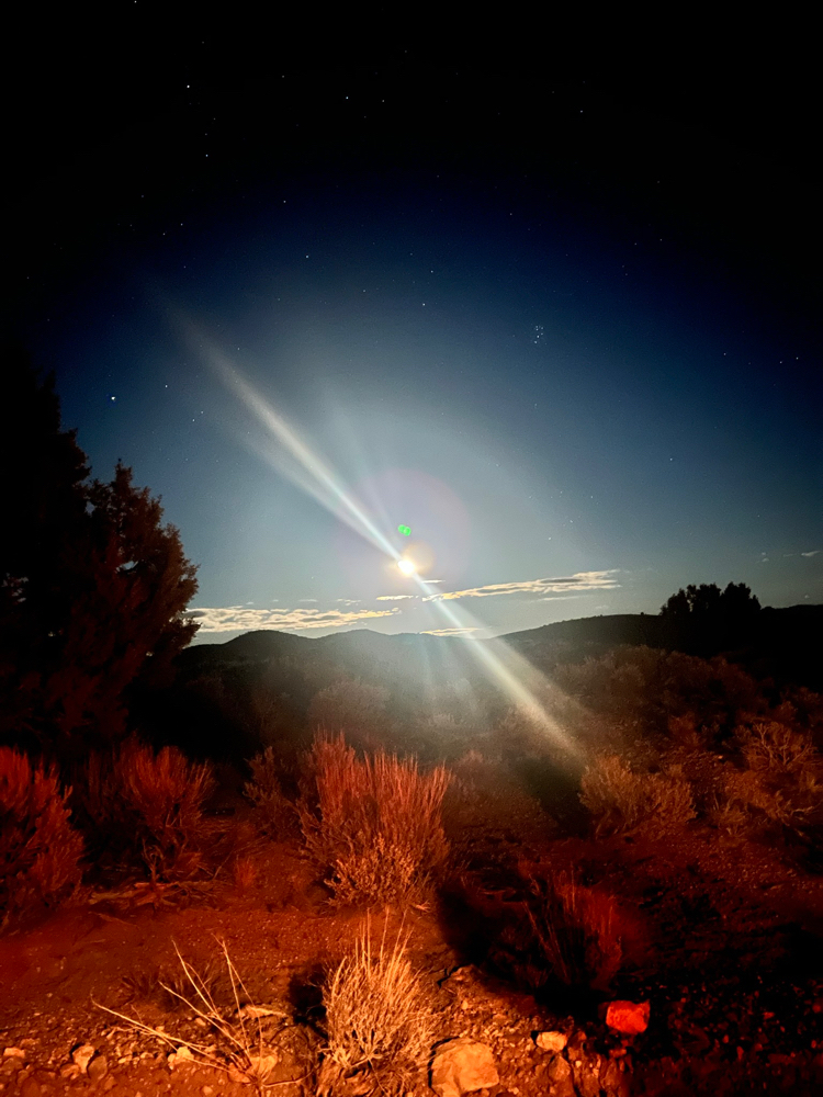 Psychic Reading