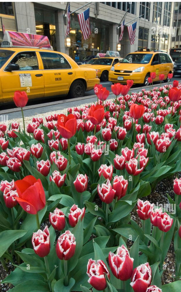 Park Ave at Skincerely Yours, Customized Skincare in Clifton, NJ