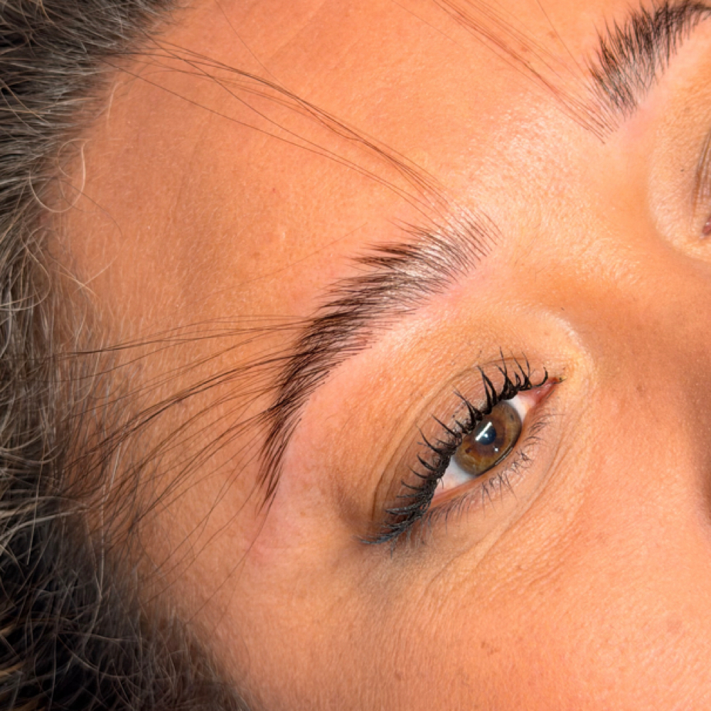 Brow Extensions (refill) at Babe Cave Esthetics in Antioch, CA
