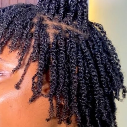 Mini 2 strand twist *starting price at KAAATWALK Hair Studio in Virginia Beach, VA