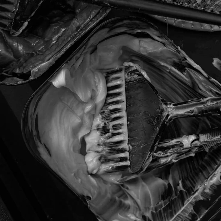 Root Touch Up at Southern Roots Salon in Southlake, TX