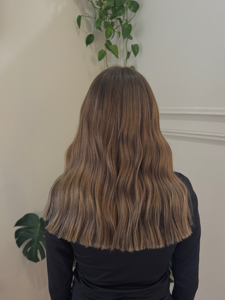 Full Lowlight & Cut