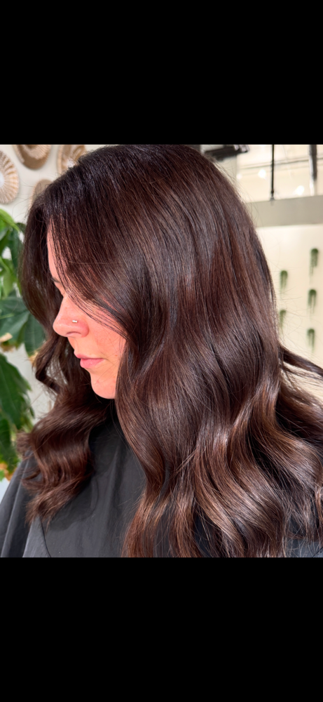 ROOT TOUCH UP AND HAIRCUT