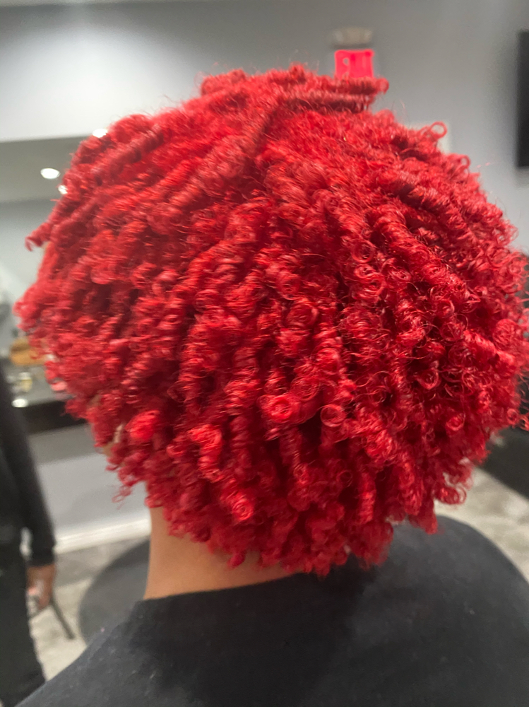 Single Color-Book Consultation 1st