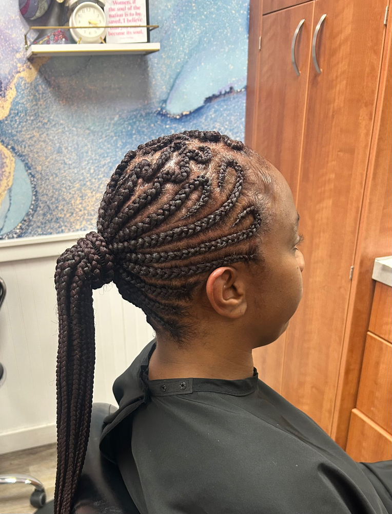 Braided Ponytail W Extensions