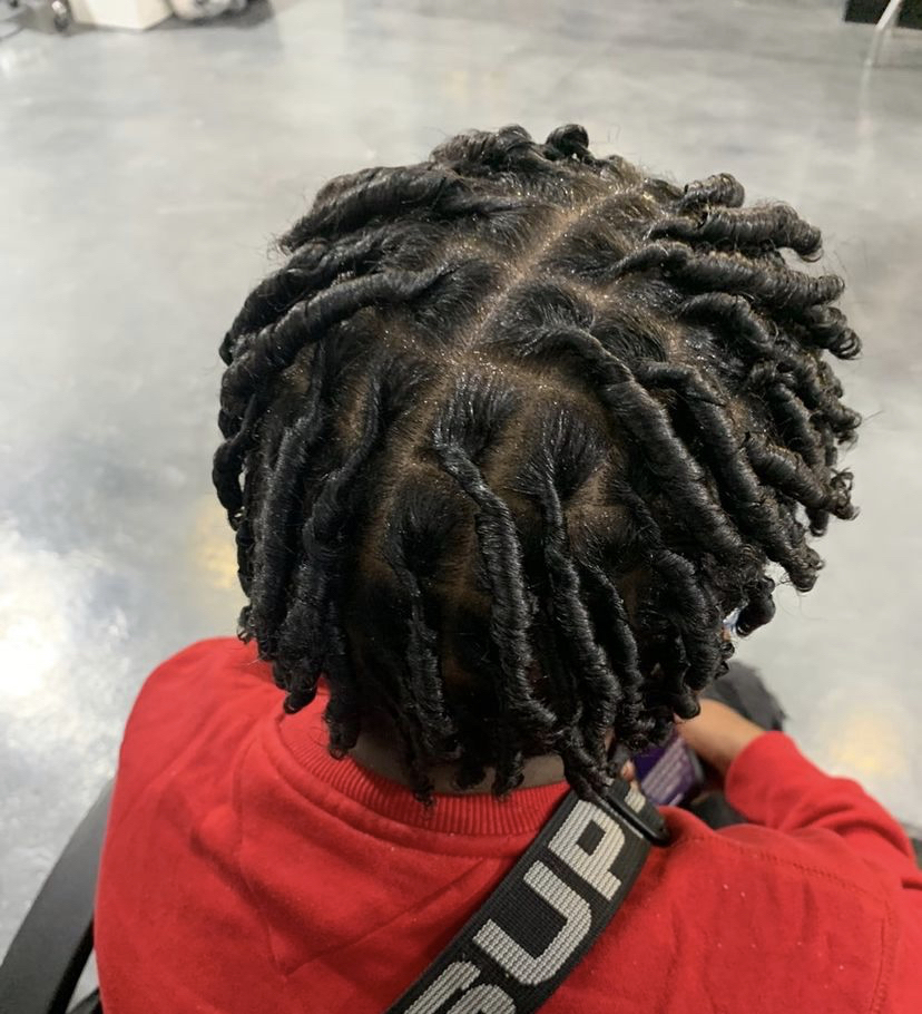 Traditional Starter Locs