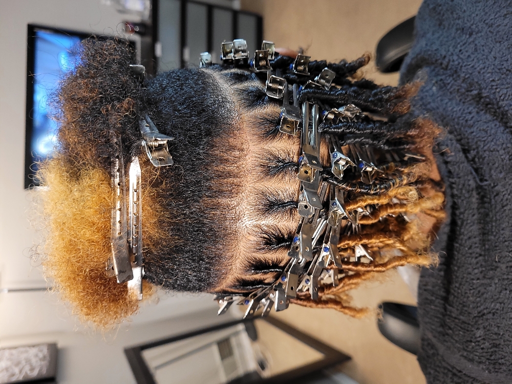 Starter Locs (Comb Coil)