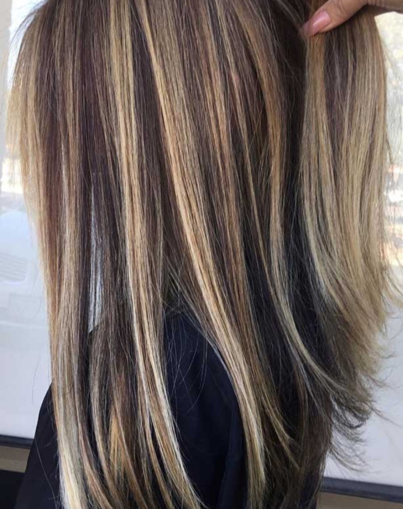 Highlights 1 Color