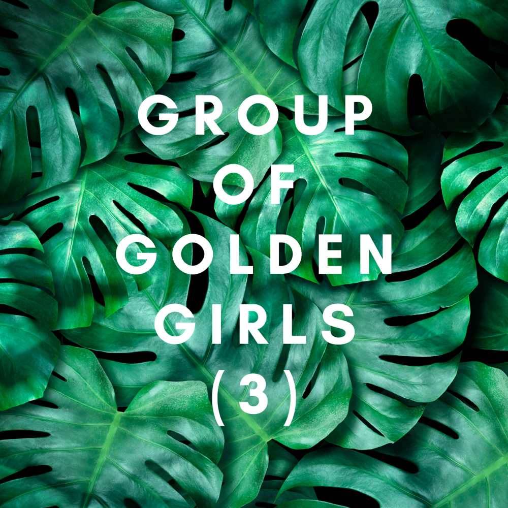 Group Of Golden Girls (3)