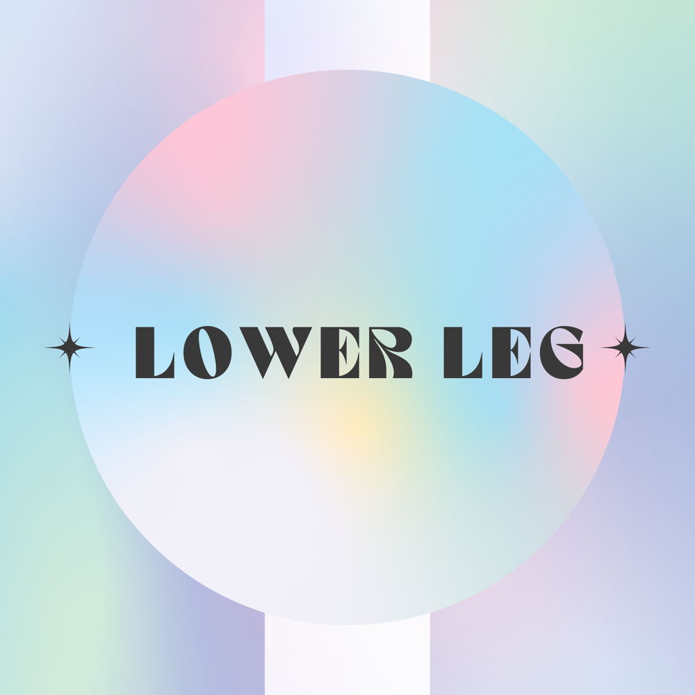 Lower Leg