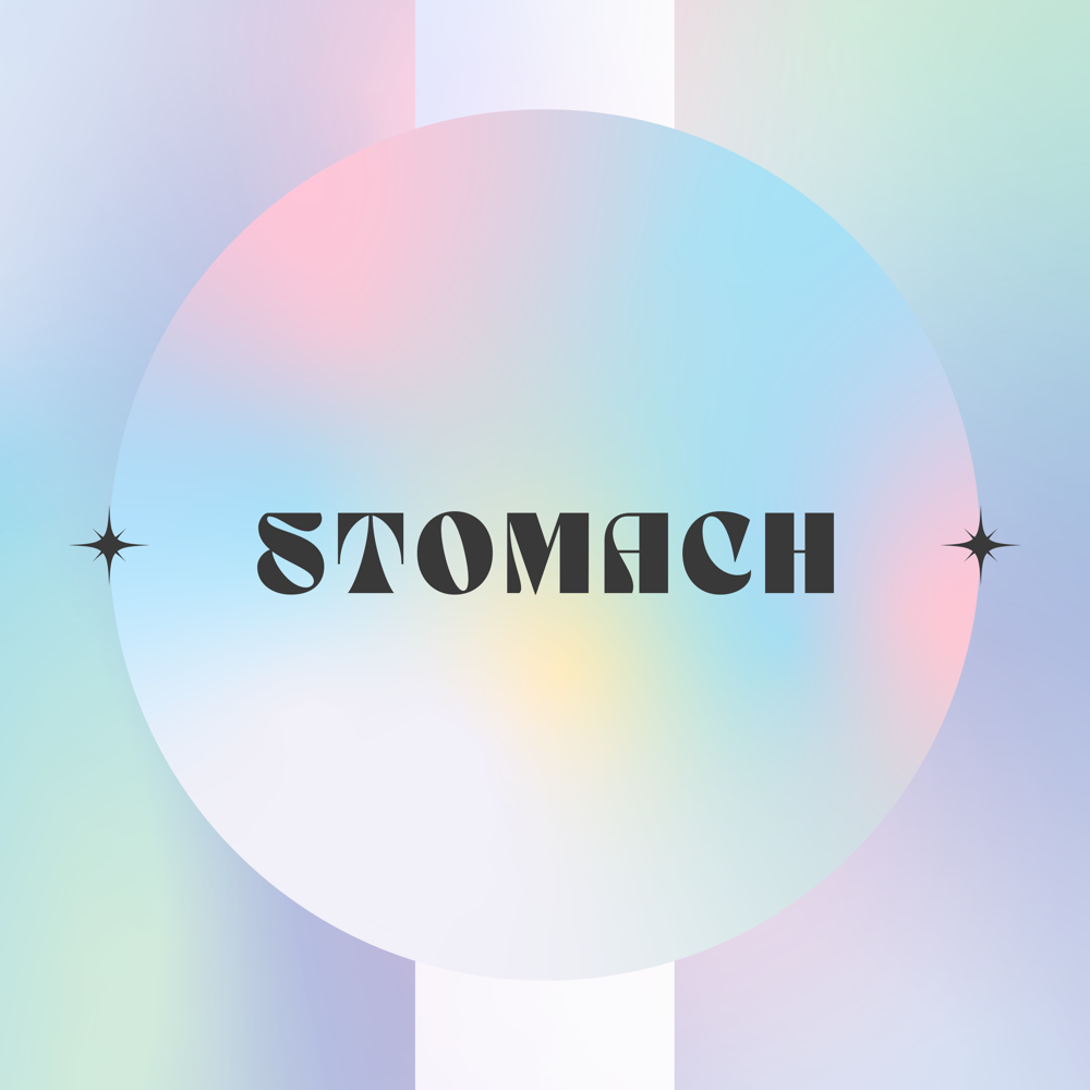 Stomach