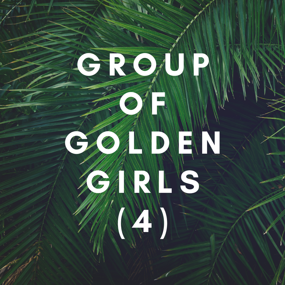 Group Of Golden Girls (4)