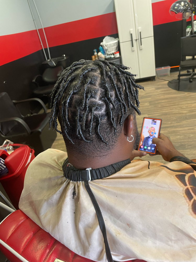 Starter Locs