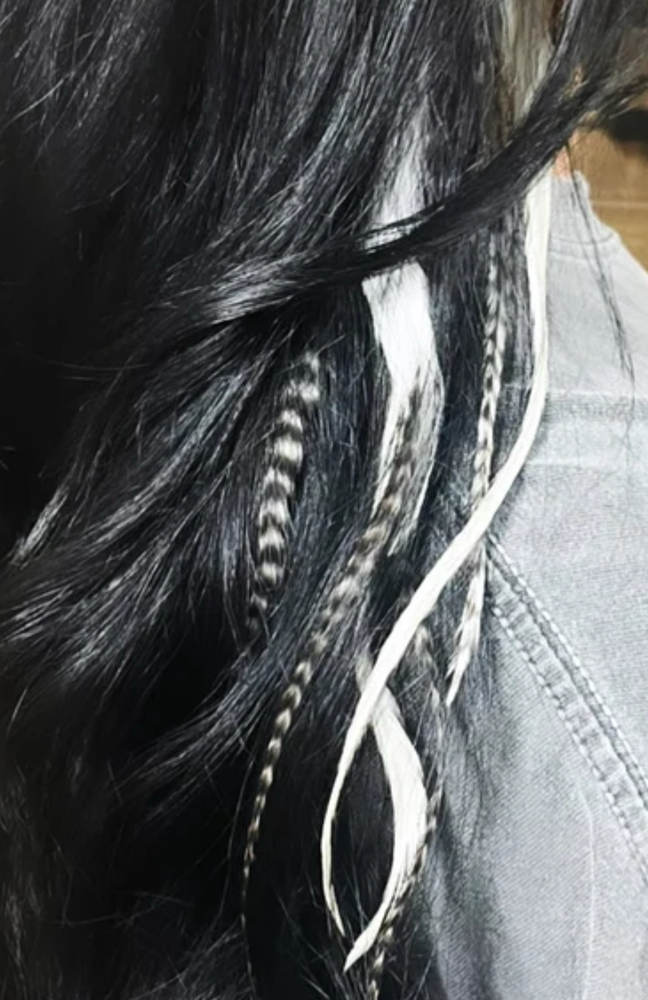 hair feathers