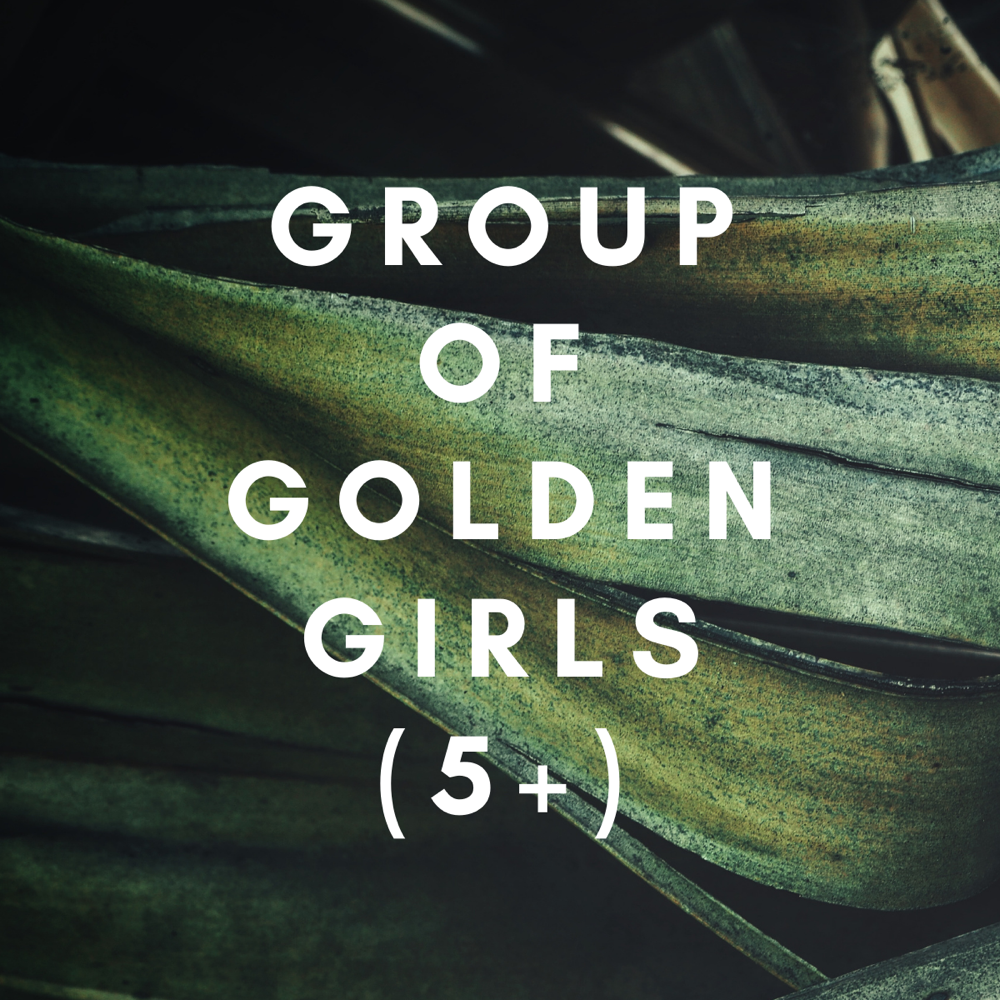 Group Of Golden Girls (5+)