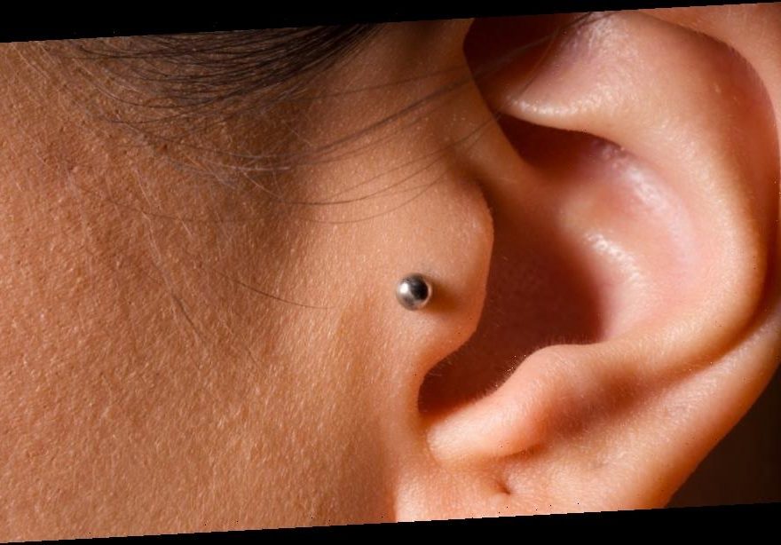 Tragus