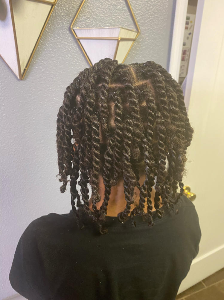 Two Strand Twist Natural Hair