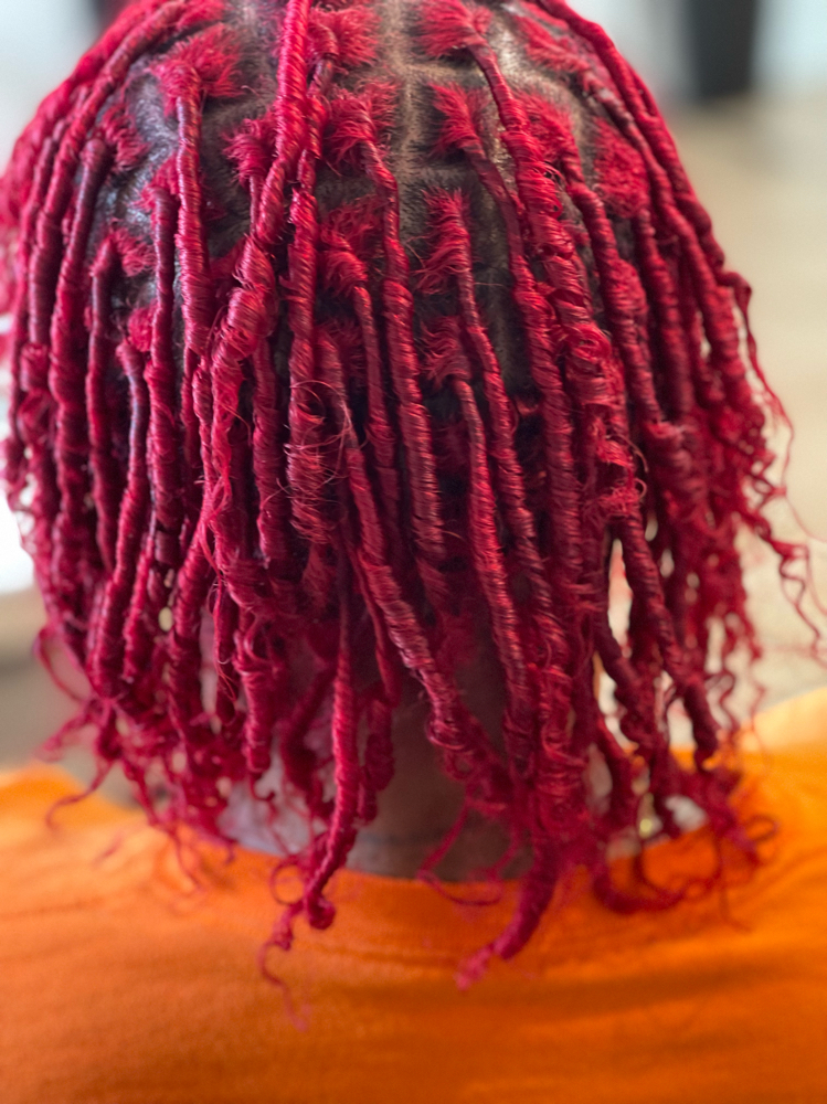 Starter Locs