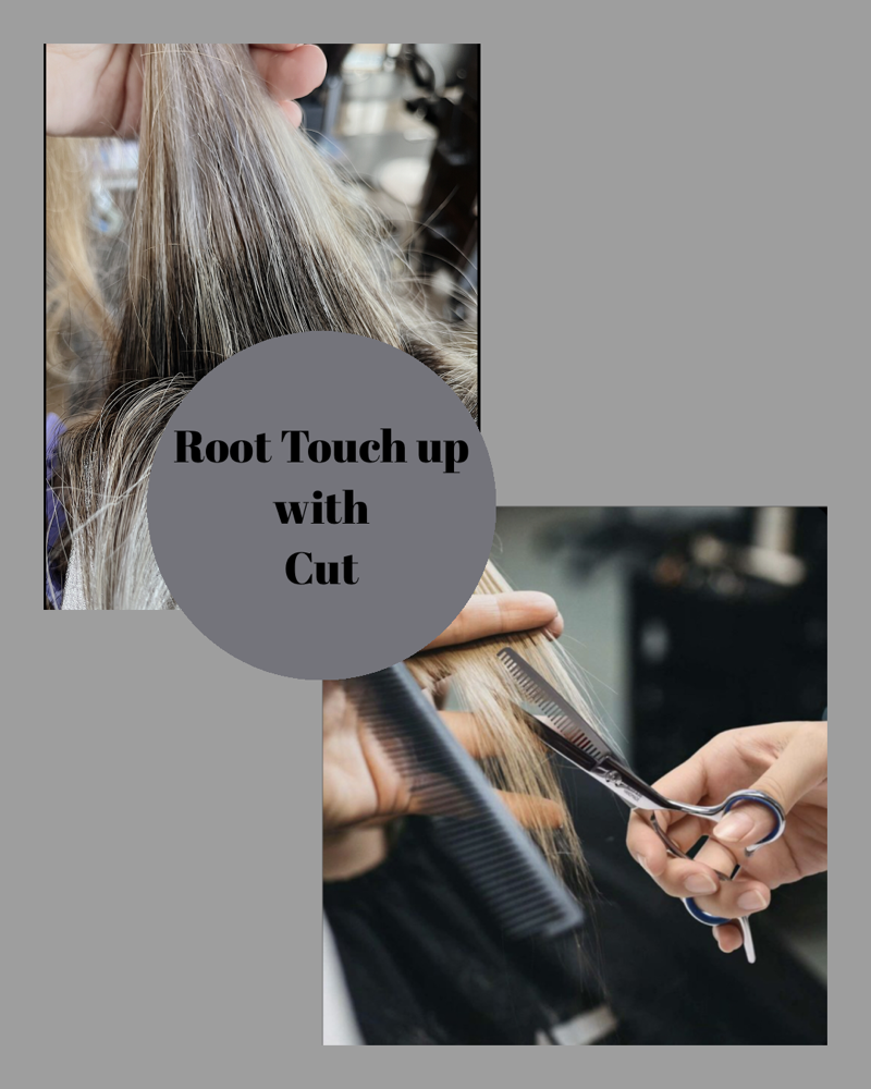 Root Touch Up With Cut