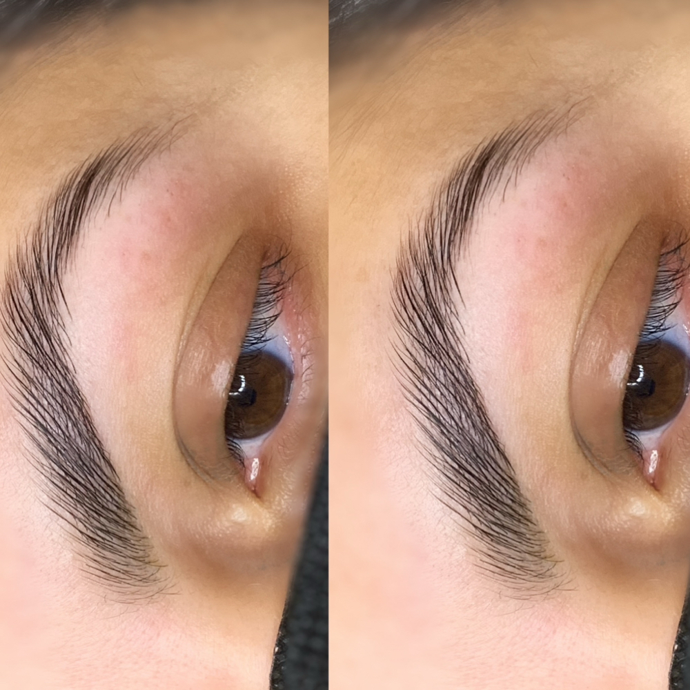 Brow Lamination at Wildflower Beauty Studio in East Meadow, NY