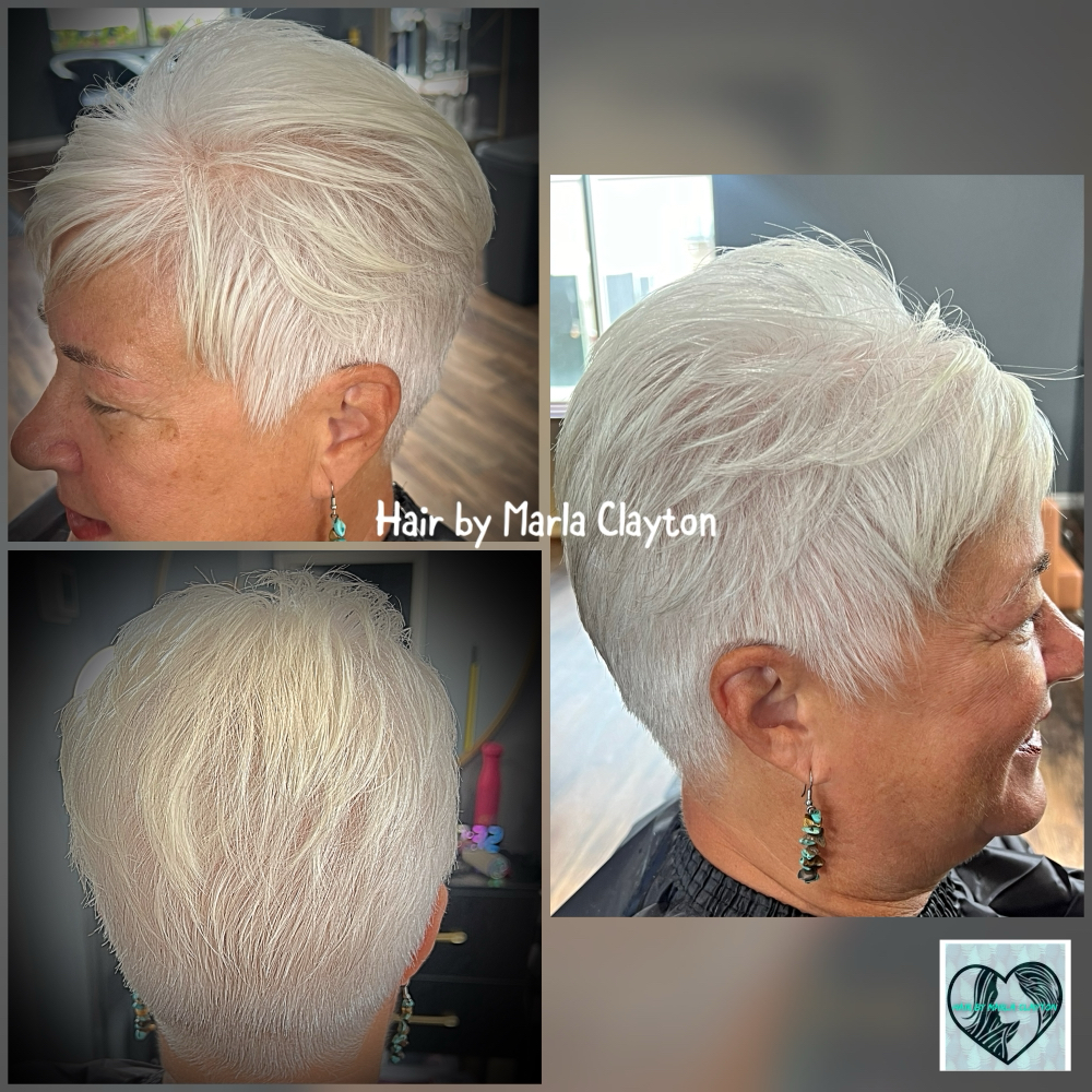 Senior Wash Cut and Tousle Dry