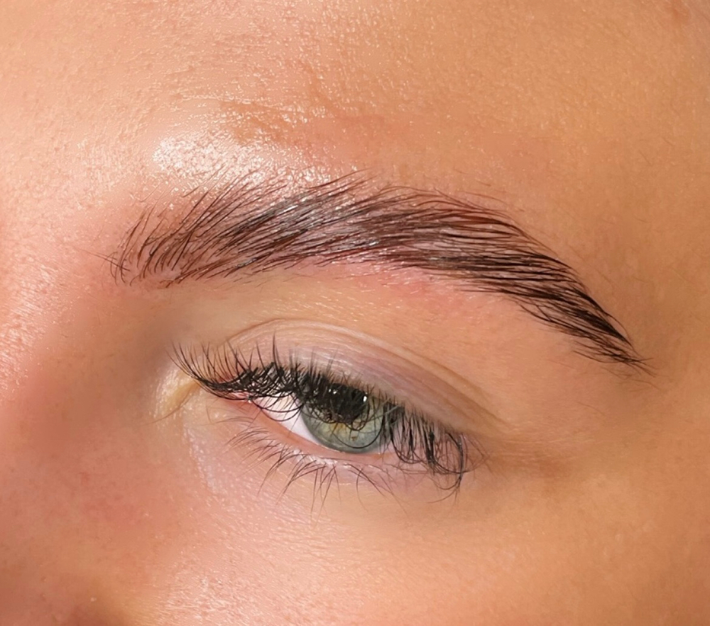 Brow Lamination with Wax + Tint