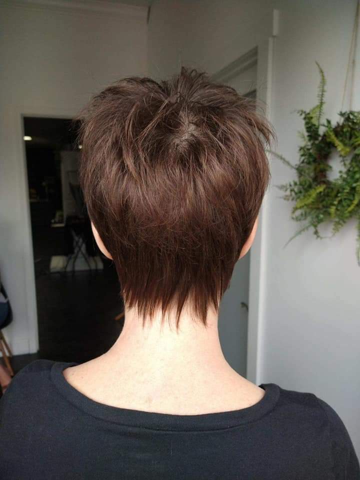 Women's Dry Haircut