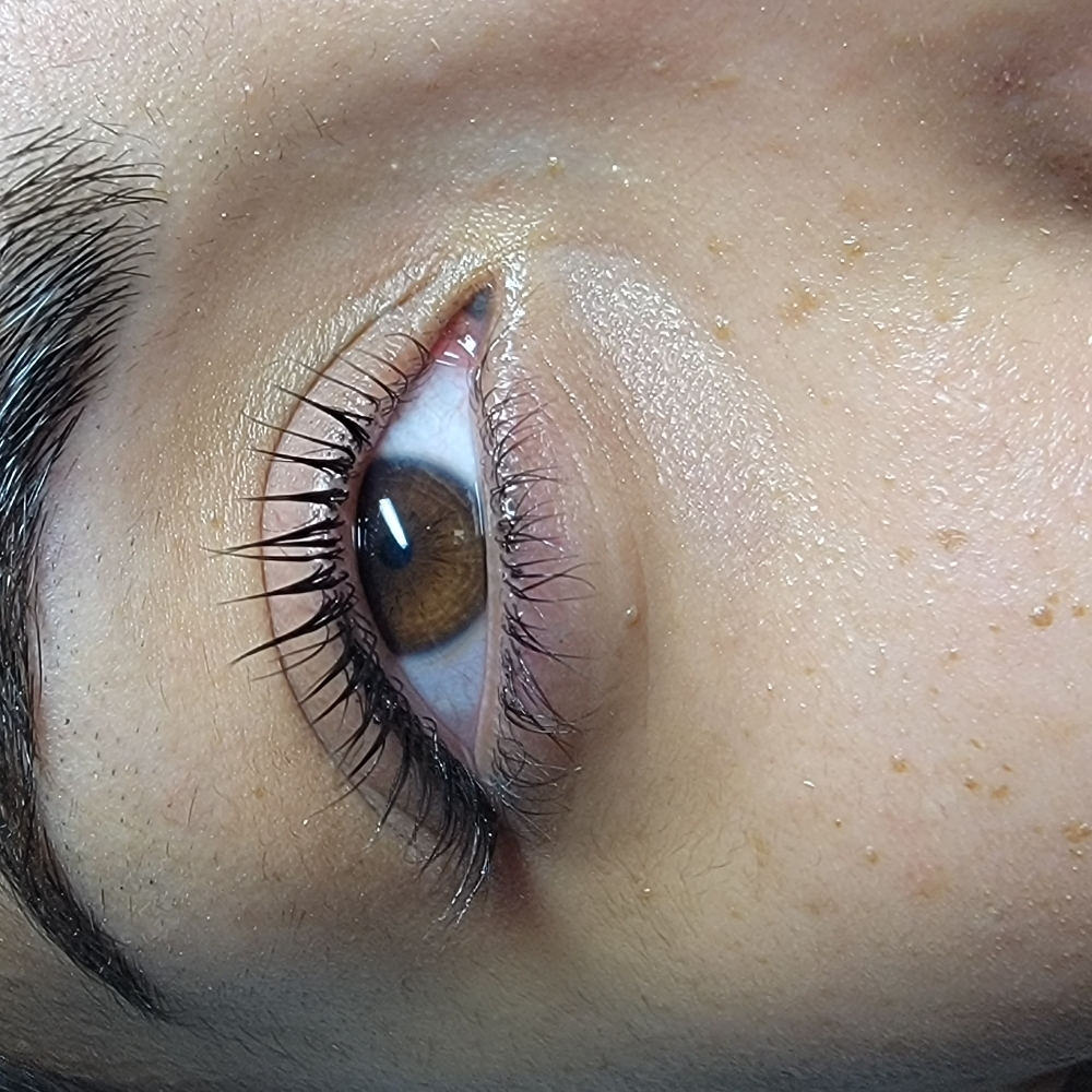 Elleebana Lash Tint