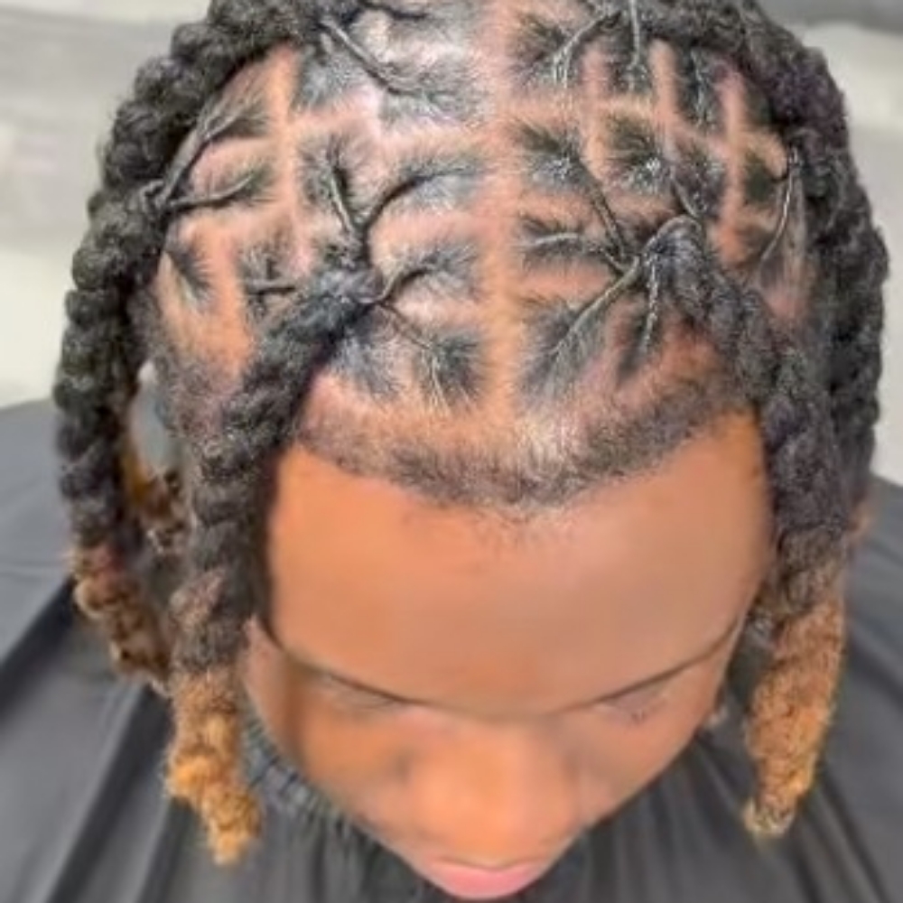 Rope Twist Loc Style at LOCANDLOVESTUDIO in Frederick, MD