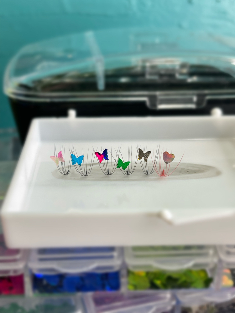 lash decal