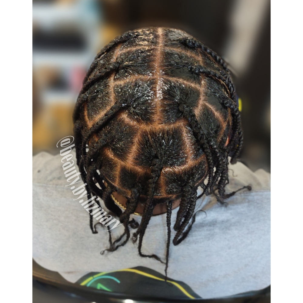 Whole Head Single Plaits (Large)