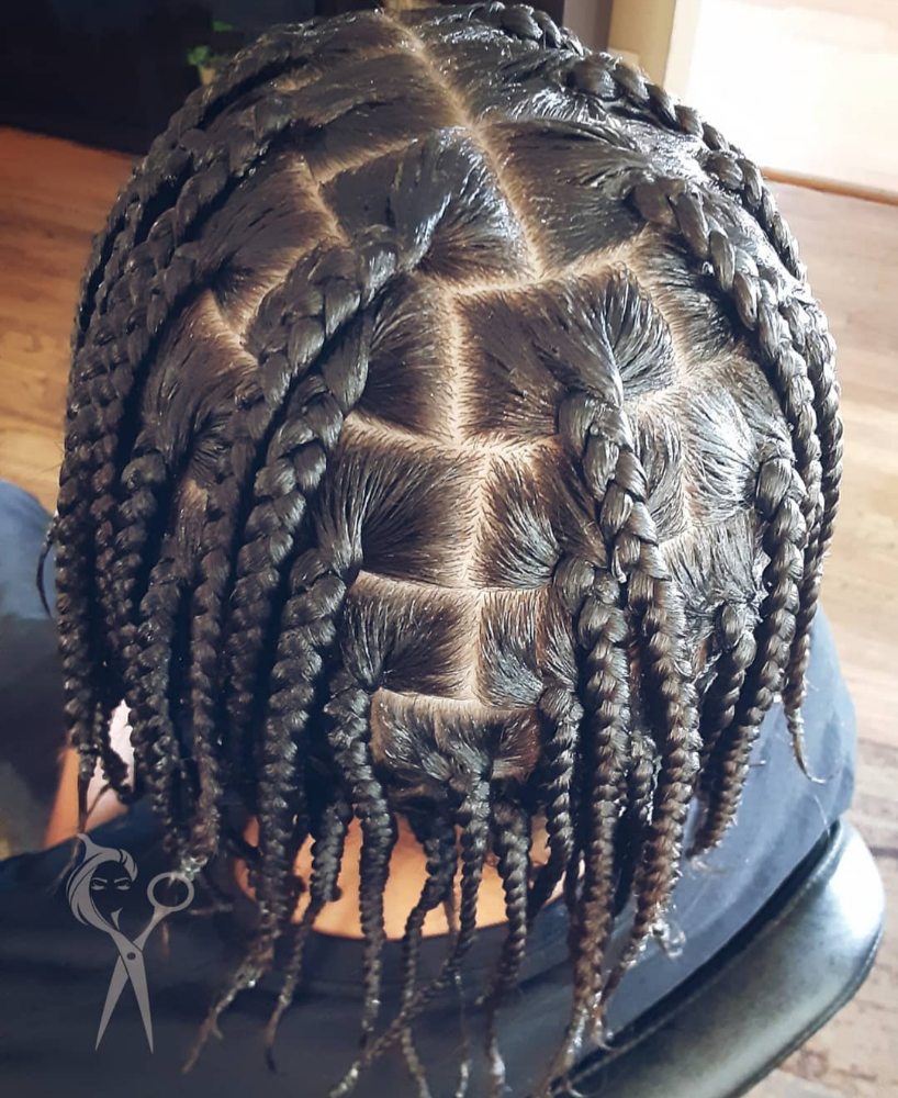 Whole Head Single Plaits (Medium)