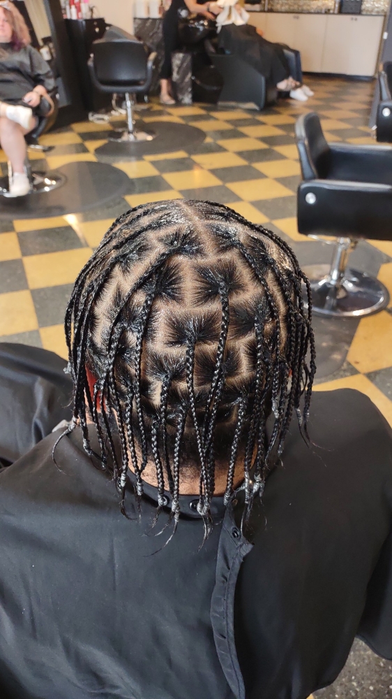 Whole Head Single Plaits (Small)