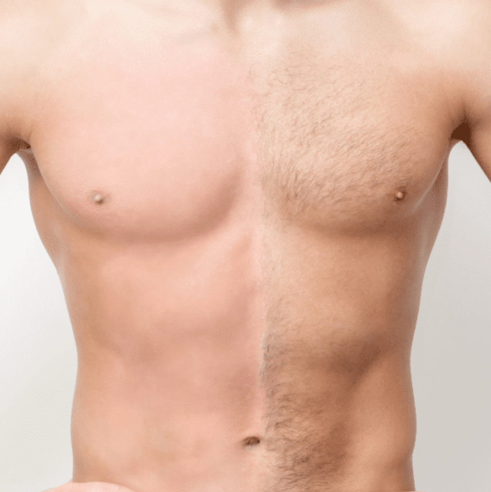 Chest and abdomen / Pecho y Abdomen