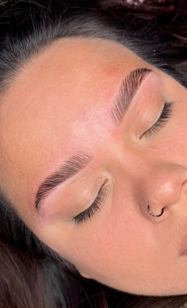 Brow Lamination Tint ,mapping & Wax at SBB Beauty in Union, NJ