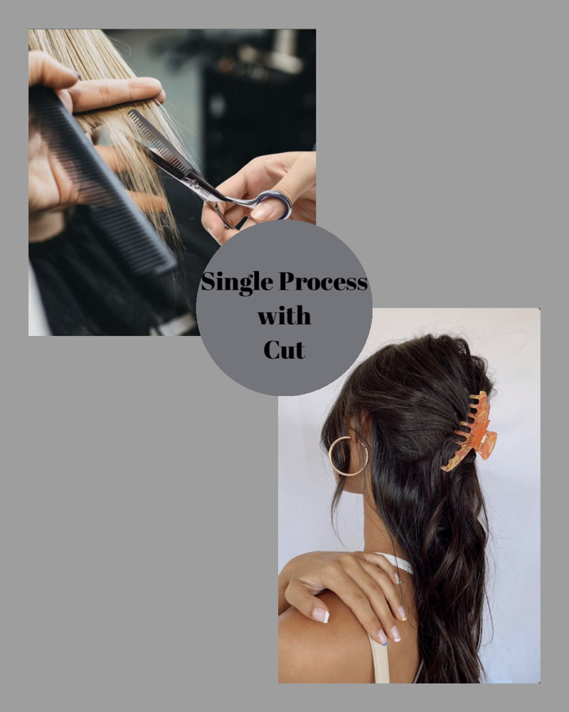 Single Process With Cut