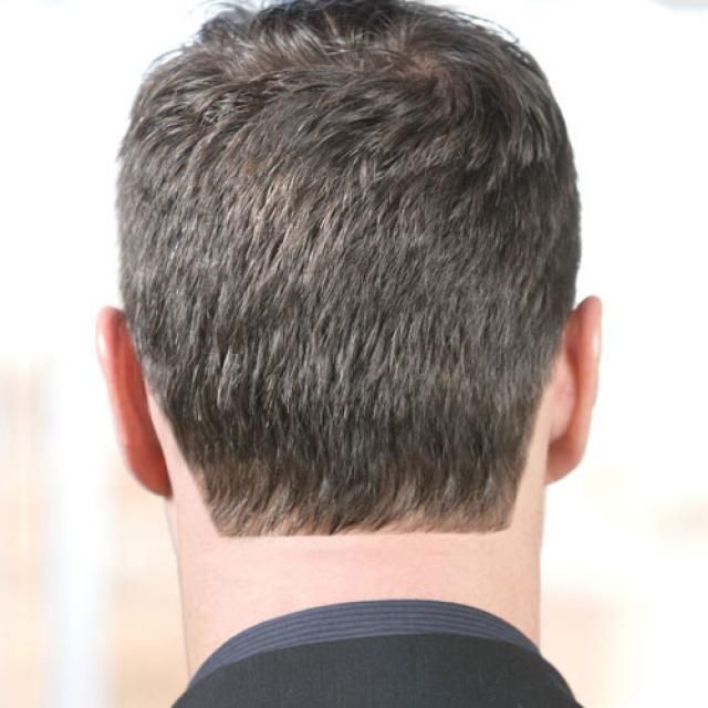 Neck Trim/Edge Up